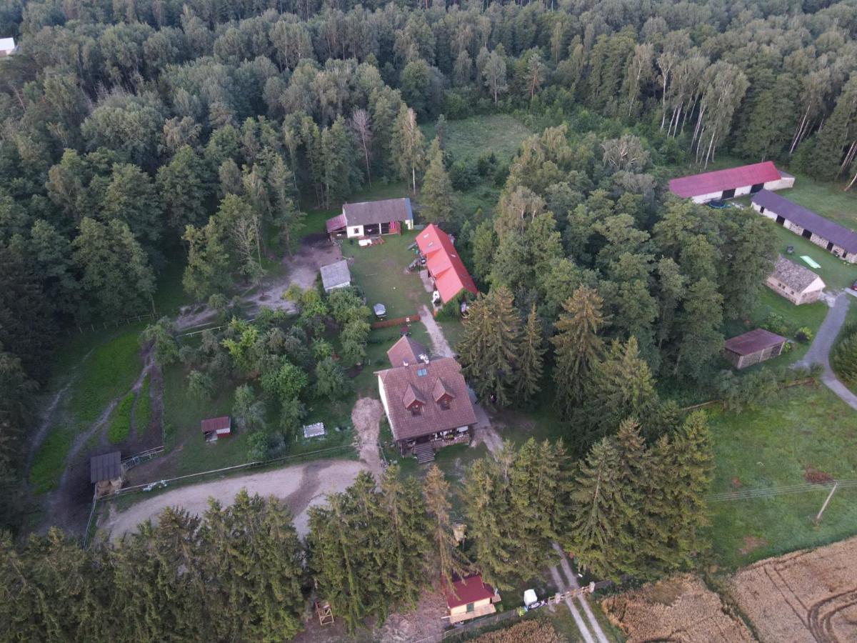 Kurnik Polski Agroturystyka Tykocin Esterno foto