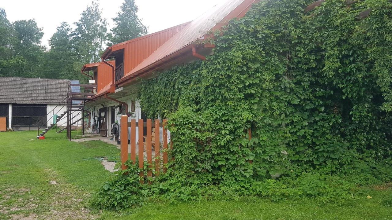 Kurnik Polski Agroturystyka Tykocin Esterno foto