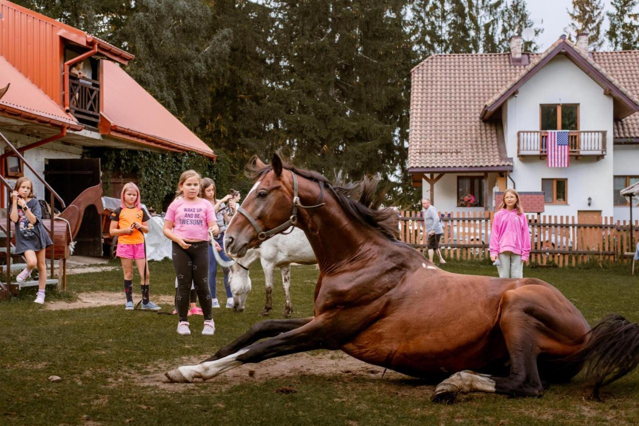 Kurnik Polski Agroturystyka Tykocin Esterno foto