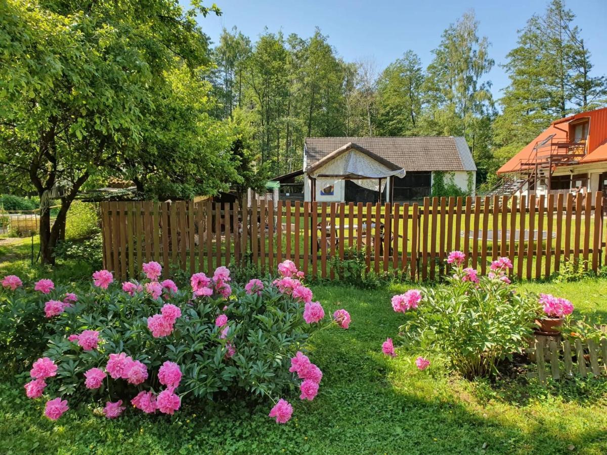 Kurnik Polski Agroturystyka Tykocin Esterno foto