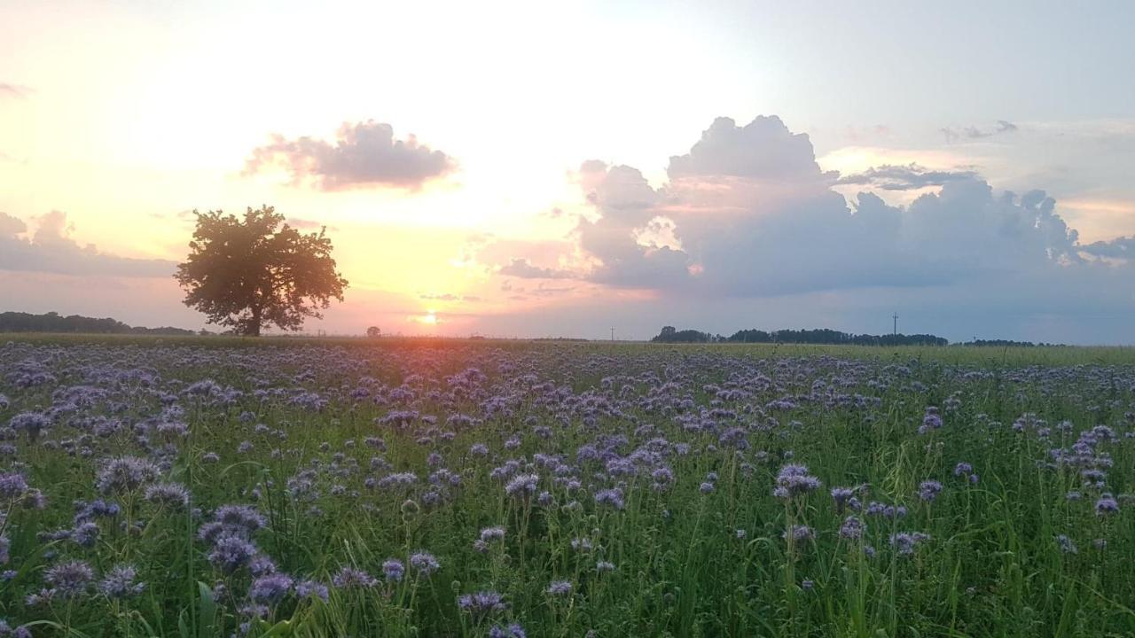 Kurnik Polski Agroturystyka Tykocin Esterno foto