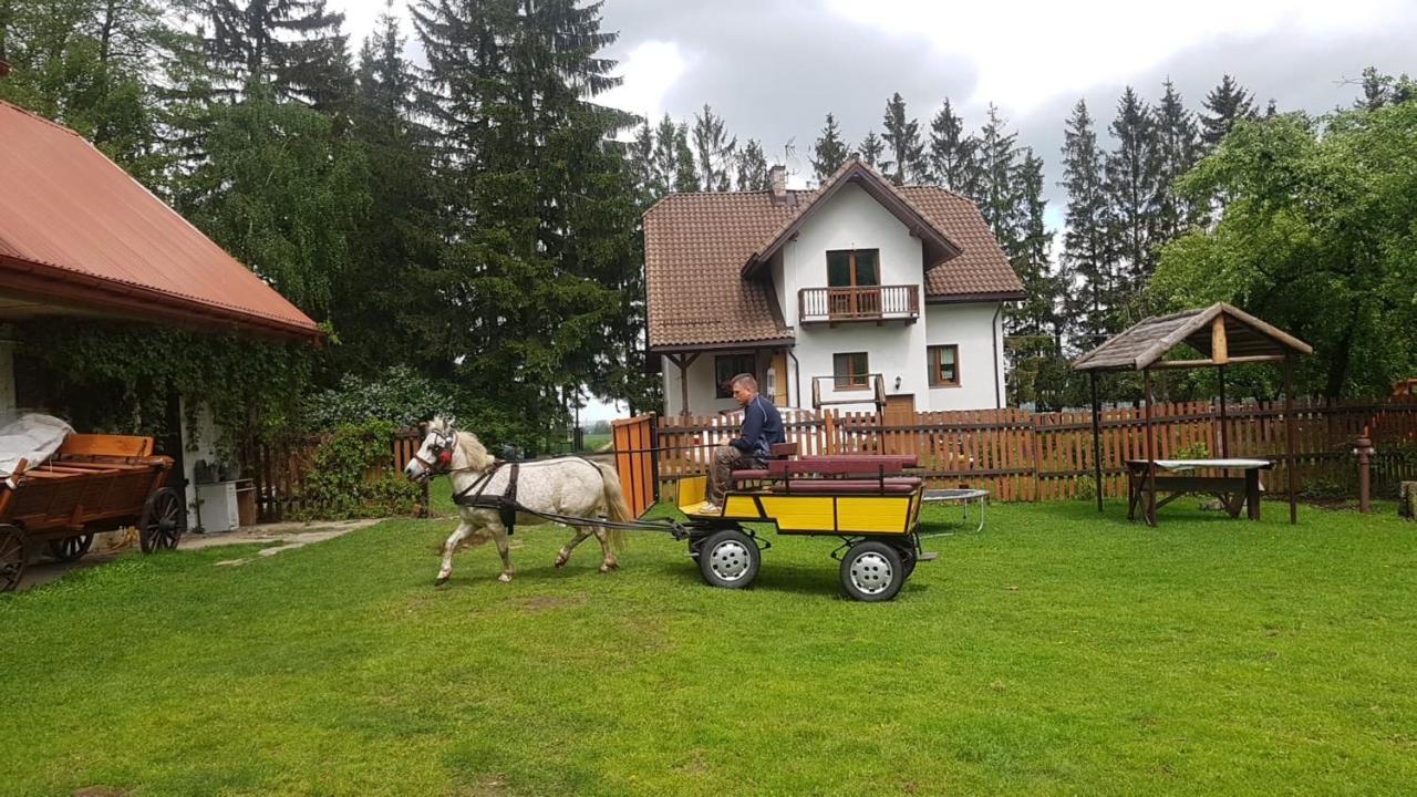 Kurnik Polski Agroturystyka Tykocin Esterno foto