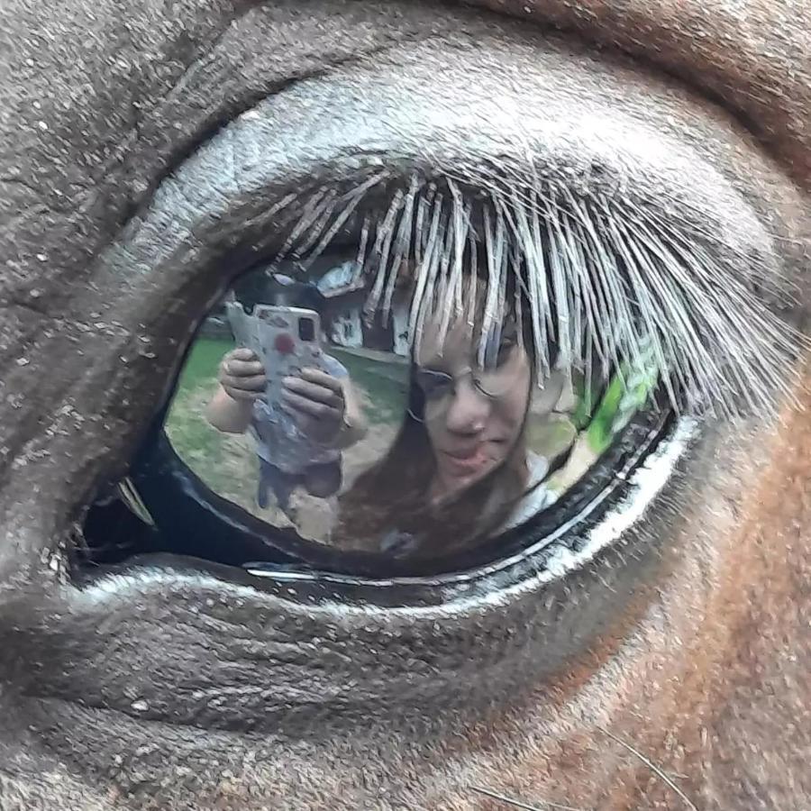 Kurnik Polski Agroturystyka Tykocin Esterno foto